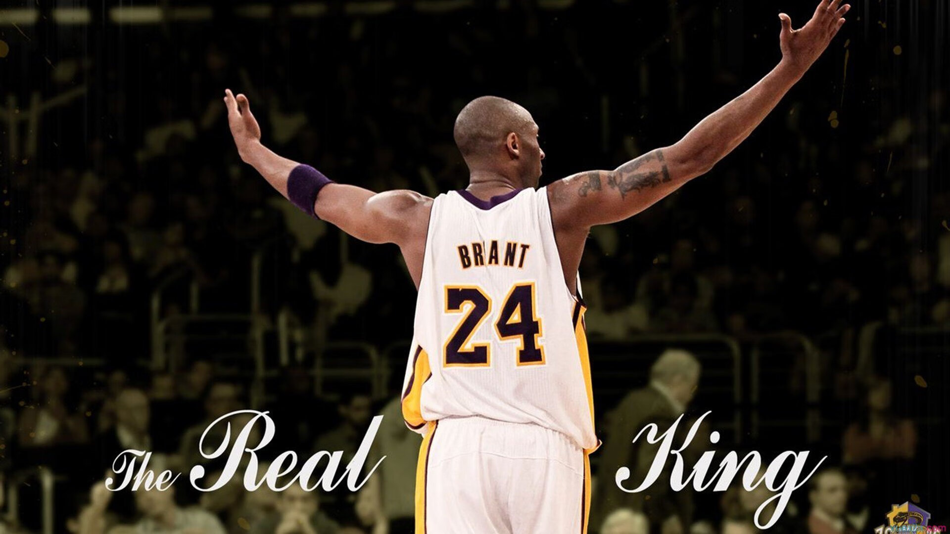 步行者铁蹄踏碎王权，欧文神迹点亮赛场