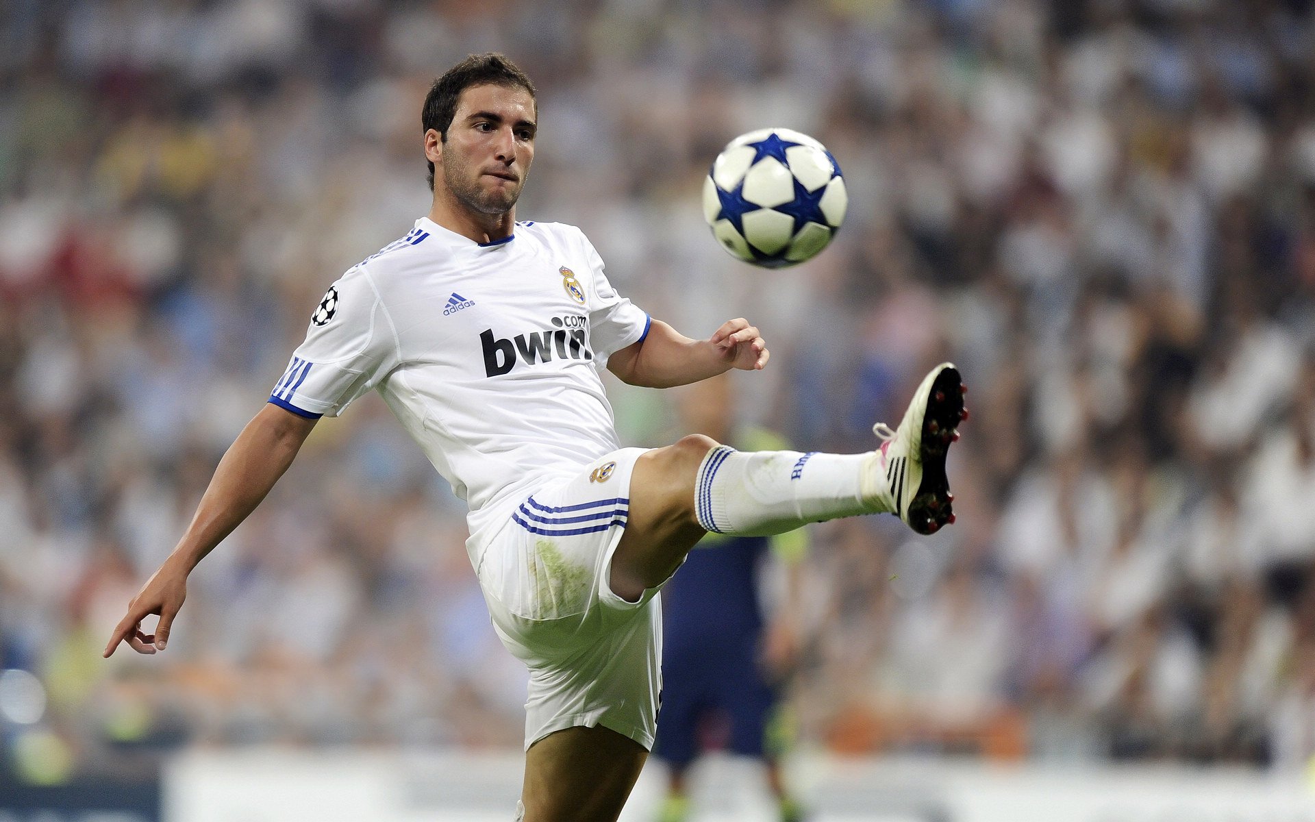 赛道上的红与蓝，佩雷兹惊艳全场，红牛鏖战雷诺上演经典对决